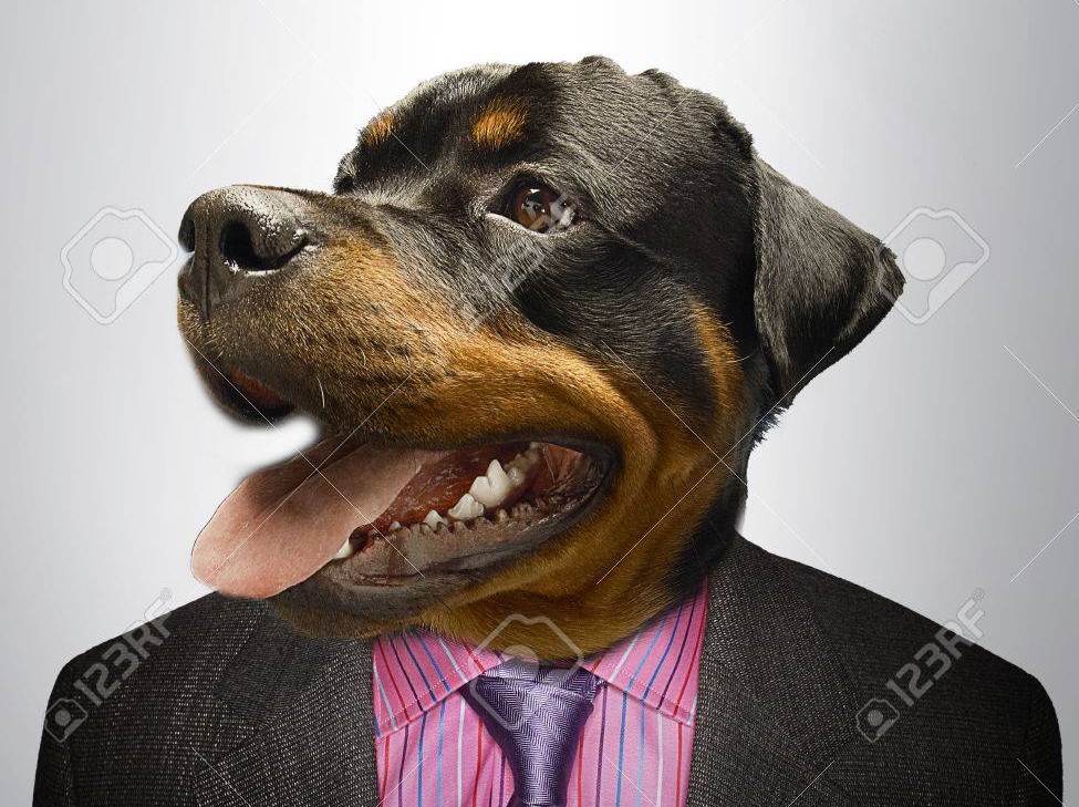 Man Who Identifies As Dog Psyched He Can’t Get&nbsp;Coronavirus