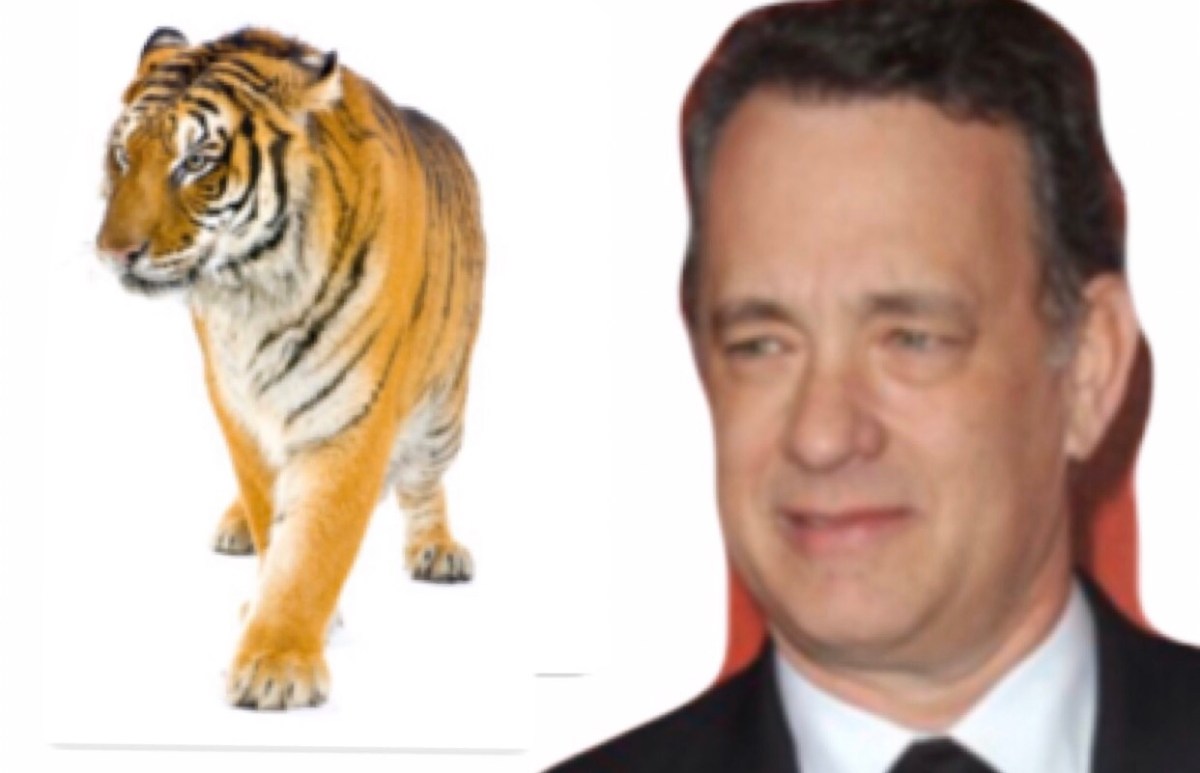 To Receive A COVID-19 Test, CDC Recommends Becoming A Tiger Or&nbsp;Celebrity