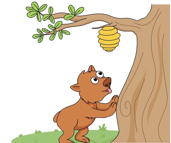 Bear Comes Out Of Hibernation To Fuck Up A&nbsp;Beehive